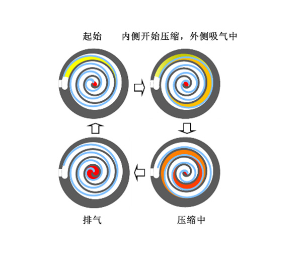 YY易游 - 热点体育内容展示与赛事直播资讯平台|YY官方入口
